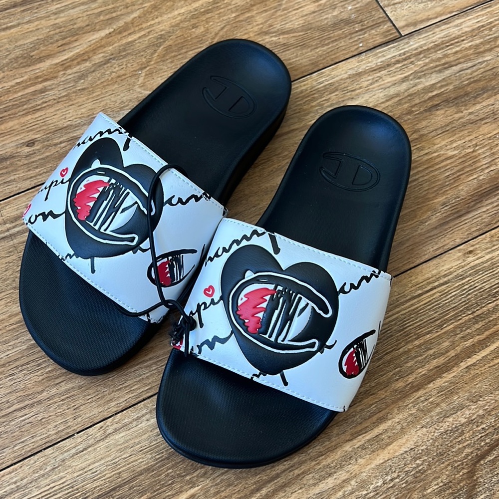 Champion slides